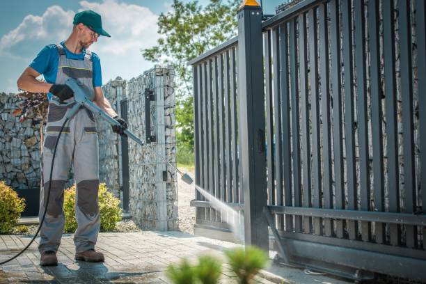 Best House Exterior Washing  in Camanche, IA